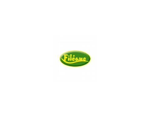 FILEANE