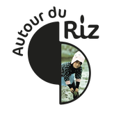 AUTOUR DU RIZ