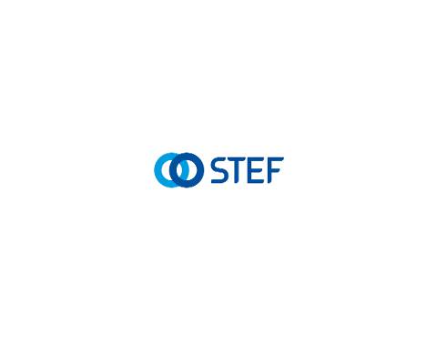 STEF TRANSPORT VALENCE