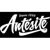 ANTESITE & NOIROT