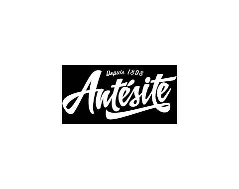 ANTESITE & NOIROT