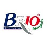  BRIO FRANCE 