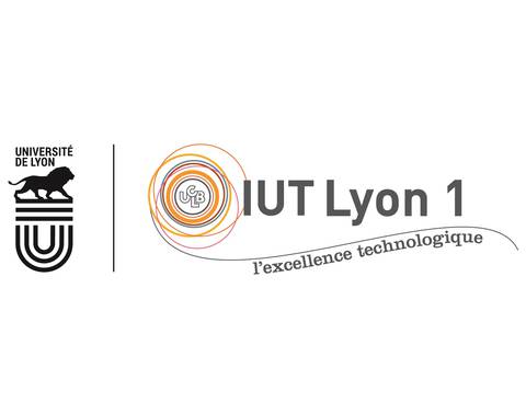 IUT LYON 1 - DÉPARTEMENT TECHNIQUES DE COMMERCIALISATION