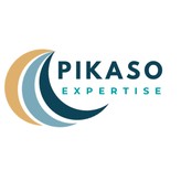  PIKASO EXPERTISE 