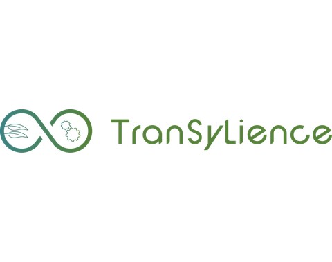TRANSYLIENCE