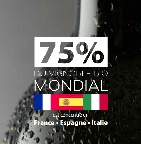 75-%-du-vignoble-bio-mondial-est-concentre-en-France-Espagne-Italie