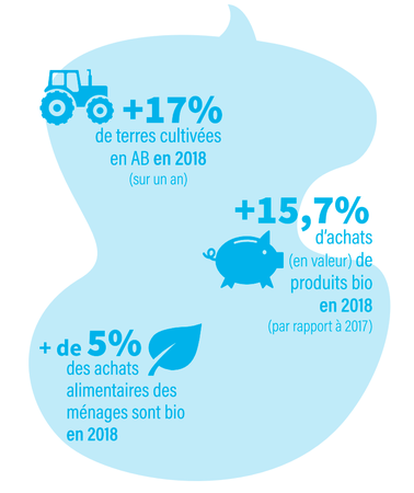 L’AGRICULTURE BIOLOGIQUE DÉCRYPTÉE PAR L’AGENCE BIO : QUELS SONT LES MESSAGES CLÉS
