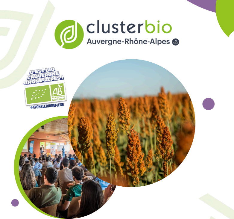 Rapport d'activité 2025 du Cluster Bio