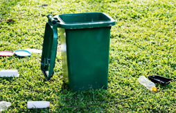 Formation - Entreprise bio : comment anticiper la fin de vie des emballages ?
