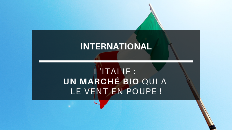 Le Vent des marchés (French Edition)