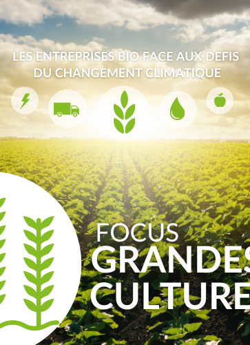 changement-climatique-focus-grandes-cultures