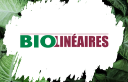 Bilan de la distribution bio 2025 et perspectives pour 2026