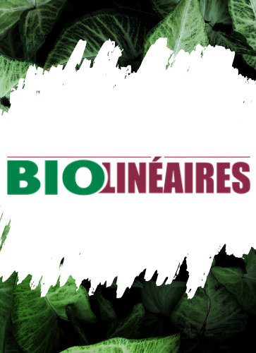 bilan-de-la-distribution-bio-2025-et-perspectives-pour-2026