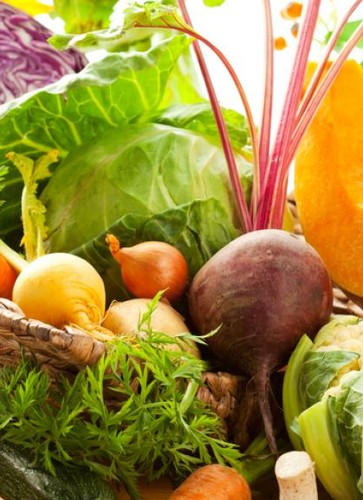 save-the-date-journee-filieres-legumes-bio
