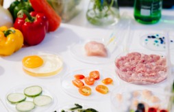 Nouveautés alimentaires et tendances clés : le point sur la mi-année 2026