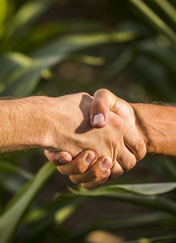 webinaire-contractualisation