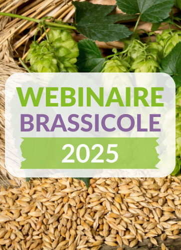 webinaire-brassicole-2025
