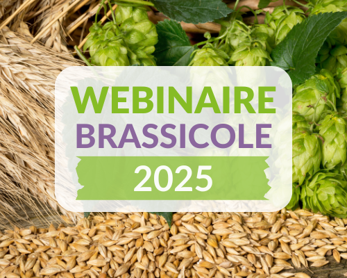 Webinaire brassicole.png