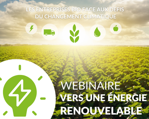 webinaire énergie renouvelable.png