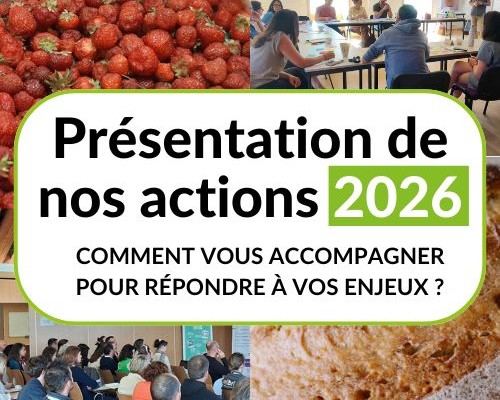 miniature web-galette.jpg