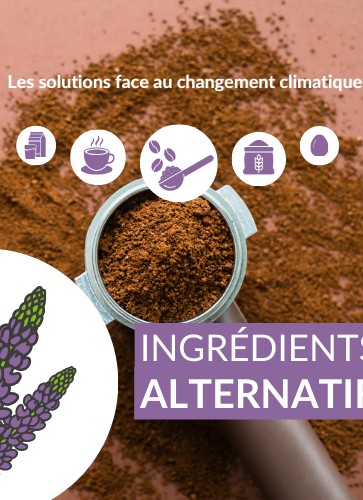 les-ingredients-alternatifs-une-solution-pour-le-consommateur-face-au-changement-climatique