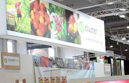 <p>NATEXPO, salon international des professionnels de la bio</p>