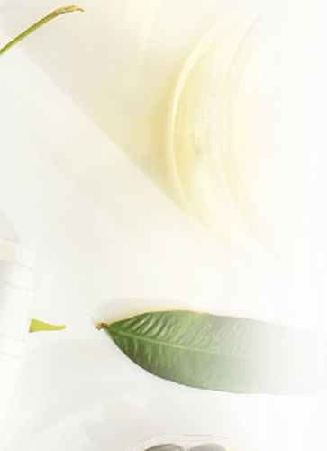 redecouvrez-les-tendances-cosmetiques-bio-et-au-dela