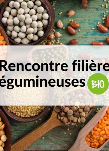 rencontre-filiere-legumineuses