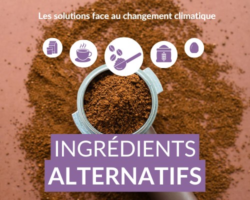 Miniatures agenda du site (7).png