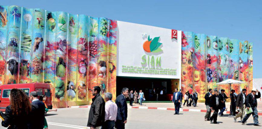 SIAM-35lvh20u4flrqzehy7uqdc.jpg