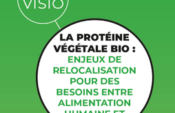 Journée inter-filières bio : la protéine végétale bio
