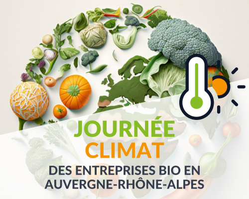 Journée Climat des entreprises aura.png