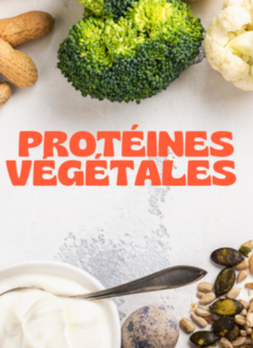 formation-sur-les-proteines-vegetales