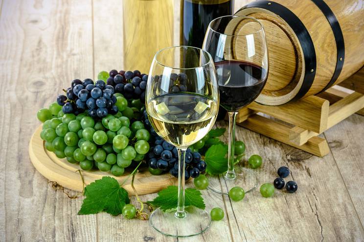Cluster Bio - Filières vins bio 3